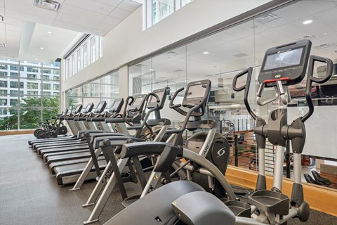 a row of cardio exercise machines in a gym